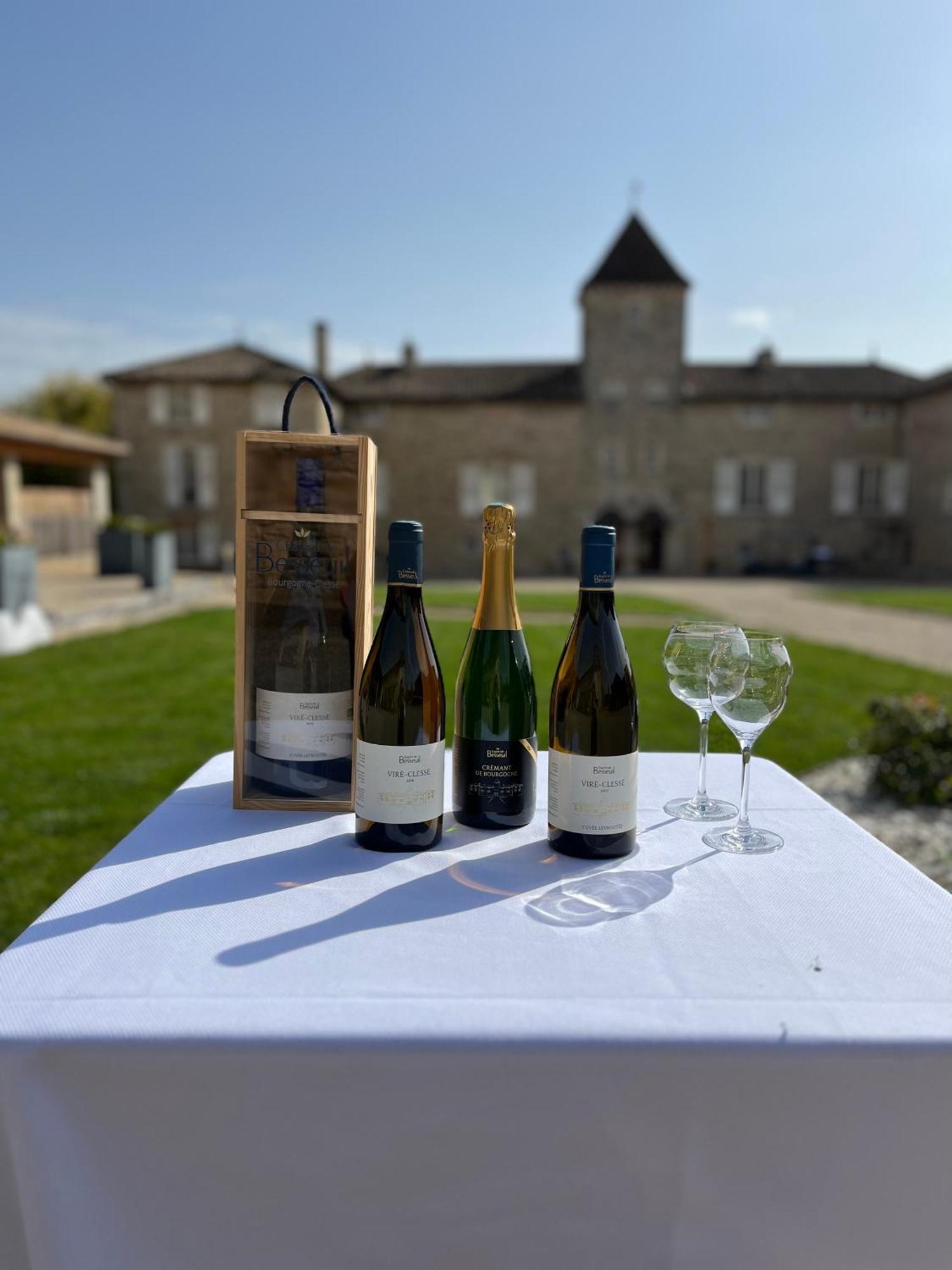 Hotel-Restaurant Le Chateau De Besseuil, Macon Nord - Teritoria Clessé Eksteriør bilde
